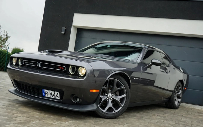 dodge challenger Dodge Challenger cena 129990 przebieg: 101000, rok produkcji 2019 z Czarnków